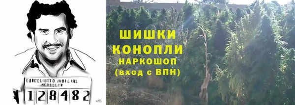 крисы Баксан