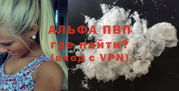 крисы Баксан