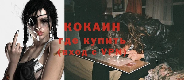крисы Баксан