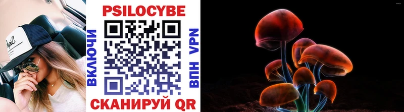 ссылка на мегу маркетплейс  Кондопога  Псилоцибиновые грибы MAGIC MUSHROOMS  продажа наркотиков 